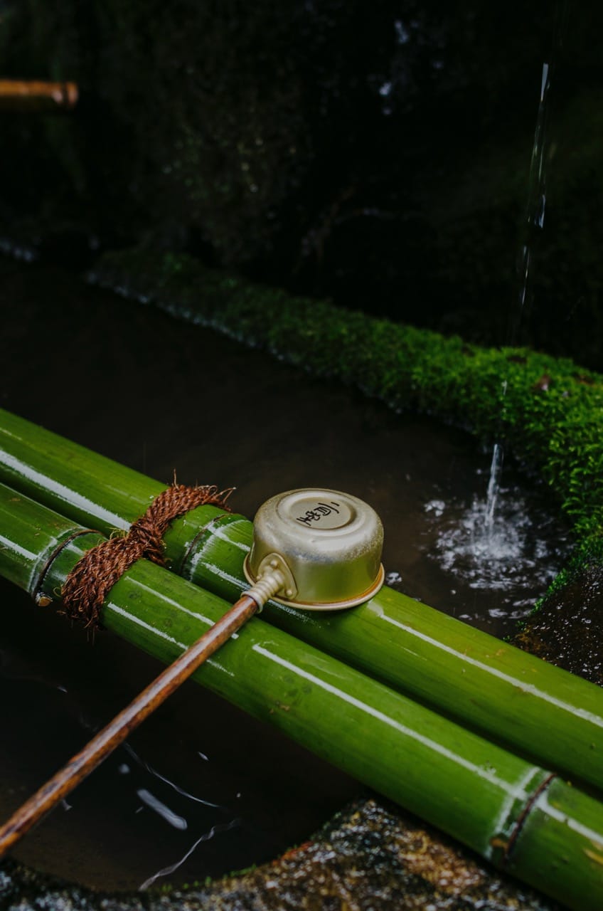 Превью Nara 2024